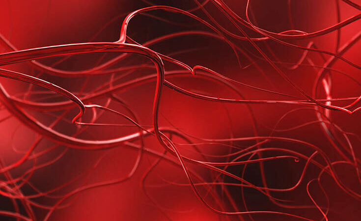 Επιστήμονες έφτιαξαν αιμοφόρα αγγεία στο εργαστήριο