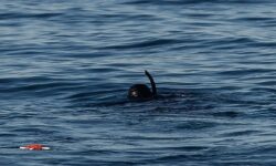 Τραγωδία στη Θάσο: Νεκρός βρέθηκε ο 35χρονος αγνοούμενος ψαροντουφεκάς