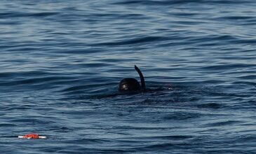 Νεκρός βρέθηκε υποβρύχιος αλιέας στη Νεάπολη Λακωνίας