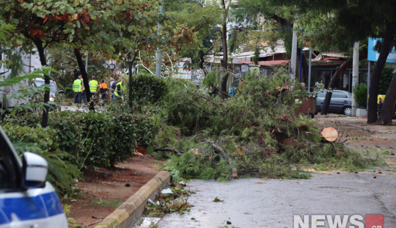 Πού έχει διακοπεί η κυκλοφορία των οχημάτων στην Αττική λόγω πτώσης δέντρων