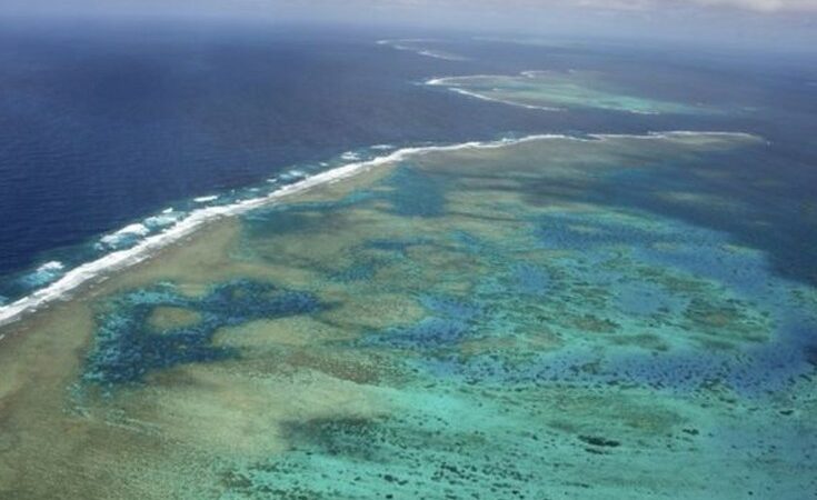 SOS εκπέμπει ο Μεγάλος Κοραλλιογενής Ύφαλος – Έχει ήδη χάσει τα μισά του κοράλλια