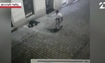 Τρόμος στη Βιέννη: Βίντεο-σοκ με ένοπλο να πυροβολεί πολίτη