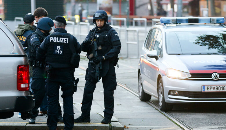 Αυστρία: Κατασχέθηκαν όπλα που προορίζονταν για γερμανούς ακροδεξιούς εξτρεμιστές