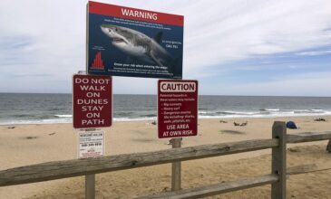 Νεκρός από επίθεση καρχαρία σε παραλία της Αυστραλίας