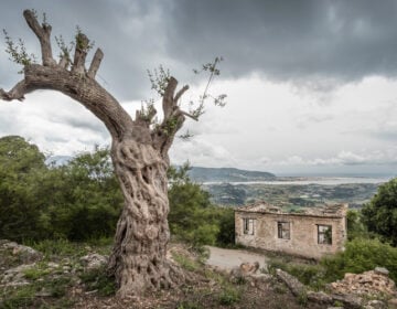 Το χωριό φάντασμα της Στερεάς Ελλάδας