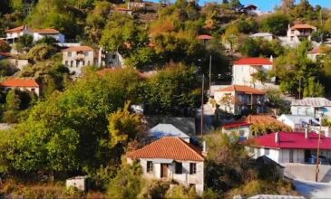 Συγγρέλος: Το ελληνικό χωριό που είναι κρυμμένο μέσα στο ελατοδάσος