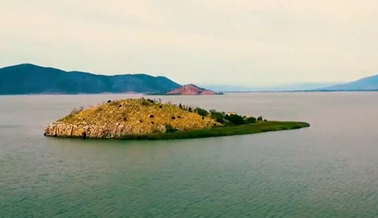 Βιδρονήσι: Το λιμνίσιο ελληνικό νησί που είναι έρημο για καλό σκοπό