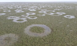 Μυστήριο στη λίμνη Κερκίνη: Εκατοντάδες τέλειοι κύκλοι στον πυθμένα – Δείτε τις εικόνες