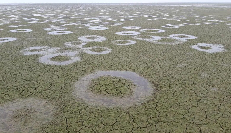 Μυστήριο στη λίμνη Κερκίνη: Εκατοντάδες τέλειοι κύκλοι στον πυθμένα – Δείτε τις εικόνες