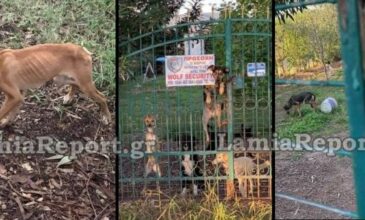«Κολαστήριο» ζώων στη Στυλίδα – Συνέλαβαν μια γυναίκα