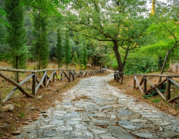 Πέντε μέρη της Αττικής ιδανικά για χαλαρή βόλτα στη φύση