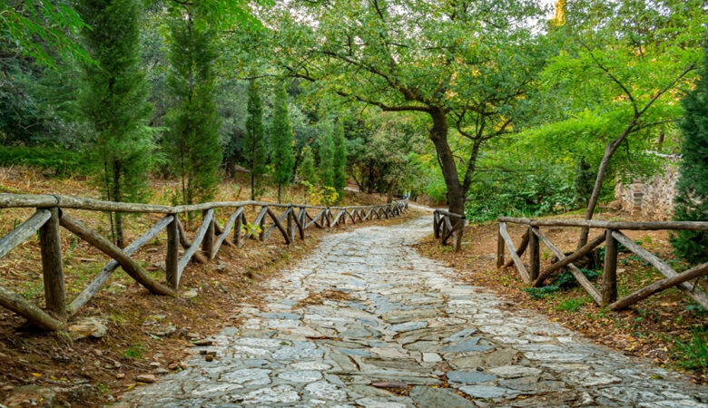 Πέντε μέρη της Αττικής ιδανικά για χαλαρή βόλτα στη φύση