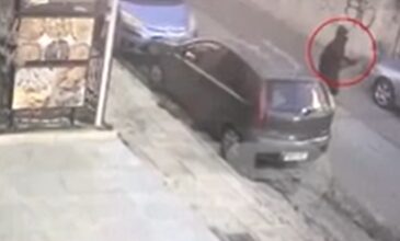Βίντεο ντοκουμέντο από τη φονική επίθεση με τόξο σε σκύλο στην Πετρούπολη