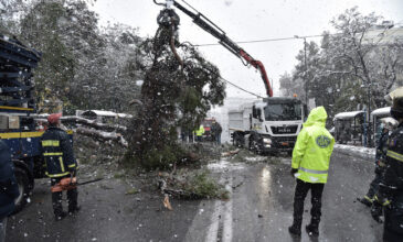 Κακοκαιρία «Μήδεια»: Χωρίς ρεύμα παραμένουν 40.000 νοικοκυριά