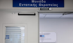 Δυσοίωνες προβλέψεις για την 17χρονη που υπέστη αλλεργικό σοκ – «Αν είχε ειδοποιηθεί άμεσα το ΕΚΑΒ ίσως η εξέλιξη να ήταν διαφορετική»