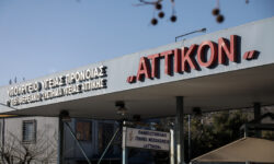 Ευλογιά των πιθήκων: Την Δευτέρα τα αποτελέσματα των εξετάσεων για το ύποπτο κρούσμα στην Ελλάδα