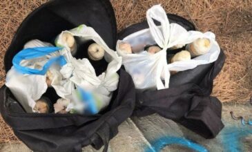Πάτρα: Η ΕΛ.ΑΣ. βρήκε 17 μολότοφ κρυμμένες στην περιοχή Δασύλλιο