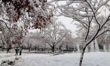 Πυκνές χιονοπτώσεις στα ορεινά της κεντρικής και βόρειας Ελλάδας