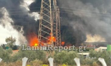 Μεγάλη πυρκαγιά σε εργοστάσιο στα Οινόφυτα