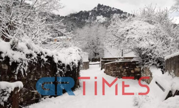 Εικόνες από την πρωτοφανή χιονόπτωση στη Θάσο