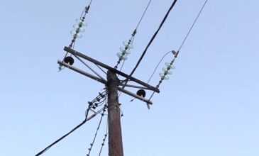 Τραγωδία στην Εύβοια: Τρεις προσαγωγές για το δυστύχημα με τρεις νεκρούς