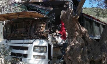 Φορτηγό «καρφώθηκε» σε ελιά στη Φωκίδα – Νεκρός ο 31χρονος οδηγός