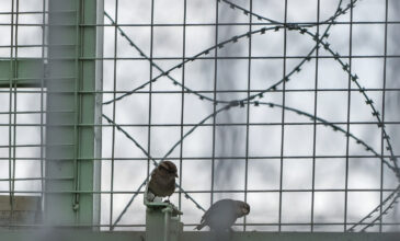 Συναγερμός σε φυλακές της Πάτρας: Κρατούμενος βρέθηκε νεκρός