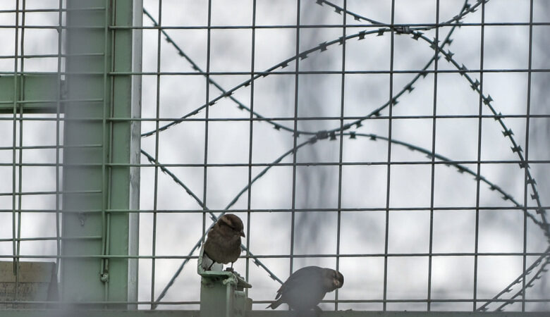 Συναγερμός σε φυλακές της Πάτρας: Κρατούμενος βρέθηκε νεκρός