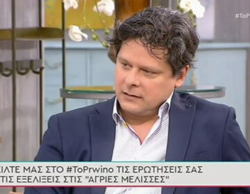 Άγριες Μέλισσες: Τι θα γίνει στο τέλος της σεζόν και τι φέρνει ο τρίτος κύκλος – «Κάποια θανατικά θα συμβούν»