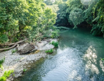 Κοιλάδα των Τεμπών: Η στάση που επιβάλλεται να κάνεις