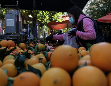 Κανονικά θα λειτουργήσουν όλες οι λαϊκές αγορές της Αττικής την Τετάρτη