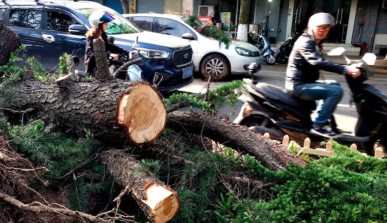 Τουλάχιστον 11 νεκροί από σαρωτικό τυφώνα στην Κίνα – Τρομάζει το βίντεο