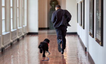 Πέθανε ο Μπο, ο σκύλος του Μπαράκ Ομπάμα