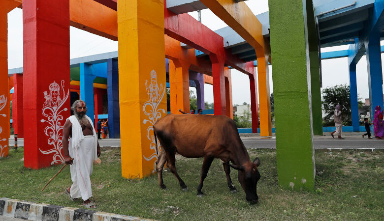 Απελπισία στην Ινδία: Αλείφονται με κοπριά και ούρα αγελάδων για να προστατευτούν από τον κορονοϊό