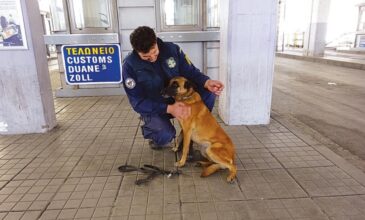 Σκύλοι ανιχνευτές στα τελωνεία εμπόδισαν παράνομες μεταφορές 170.000 ευρώ