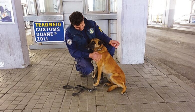 Σκύλοι ανιχνευτές στα τελωνεία εμπόδισαν παράνομες μεταφορές 170.000 ευρώ
