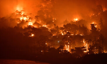Φωτιά στην Αρκαδία: Μαίνεται ανεξέλεγκτη η πυρκαγιά στη Γορτυνία – Καίγονται παρθένα δάση
