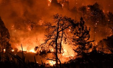 Πορτογαλία: Μαίνονται οι πυρκαγιές εξαιτίας του ακραίου καύσωνα