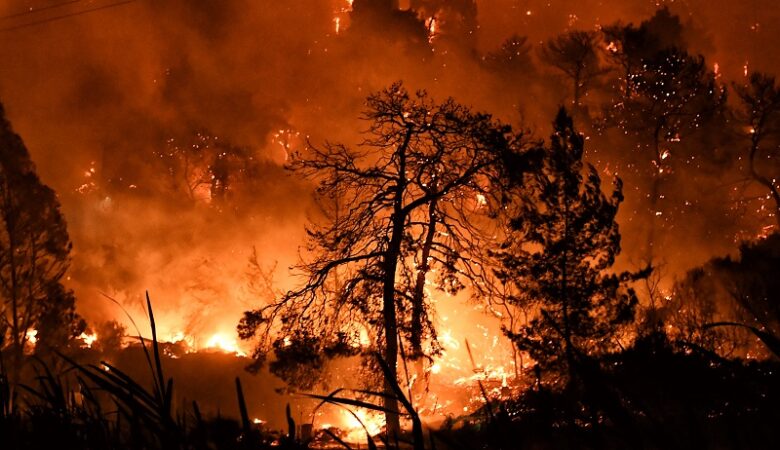 ΚΙΝΑΛ για πυρκαγιά στην Κορινθία: Άβουλοι και μοιραίοι περιμένουν τη φωτιά να σβήσει