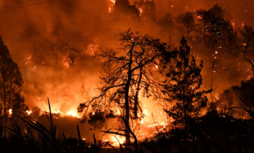 Πυρκαγιά καίει πευκοδάσος στην Κόνιτσα