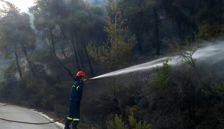Σαράντα πέντε δασικές πυρκαγιές εκδηλώθηκαν το τελευταίο 24ωρο σε όλη την Ελλάδα
