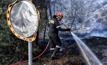 Τραγωδία στην Κύπρο από την φωτιά: Βρέθηκαν απανθρακωμένοι οι 4 αγνοούμενοι