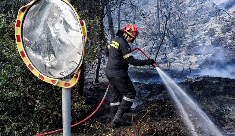 Πρόστιμο σε άνδρα για πυρκαγιά σε ξερά χόρτα στον δήμο Σκύδρας Πέλλας