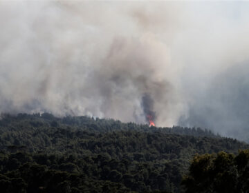 Σύστημα έγκαιρου εντοπισμού πυρκαγιάς έφτιαξαν φοιτητές από τη Θεσσαλονίκη – Τι κάνει όταν βρει εστία