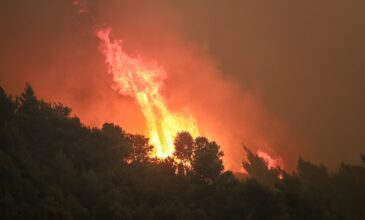 Πυρκαγιά στην Κω: Μαίνεται ανεξέλεγκτο το πύρινο μέτωπο