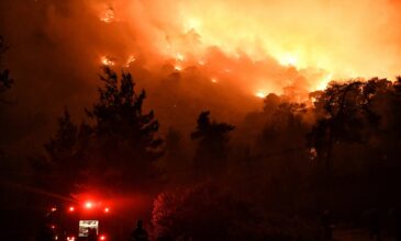 Φωτιά στην Κορινθία: Νέα ολονύχτια μάχη με τις φλόγες – Στάχτη 55.000 στρέμματα