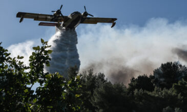 Μεγάλη φωτιά σε δασική έκταση στην Κορινθία – Εκκενώθηκε οικισμός