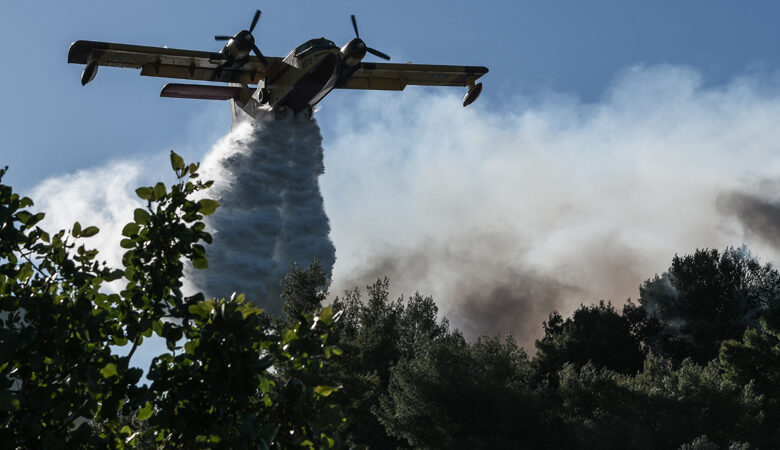 Λουτράκι: Σε εξέλιξη πυρκαγιά σε δασική έκταση στο Στραβό