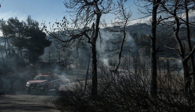 Φωτιά στο Σχίνο: Εκκενώνεται ο οικισμός Παπαγιαννέικα στα Μέγαρα μετά από αναζωπύρωση