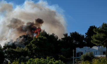 Φωτιά στα Μέθανα: Εισήγηση Πυροσβεστικής για εκκένωση κατοικιών